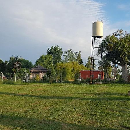 Terrabox Apart De Contenedores Olivera Kamer foto